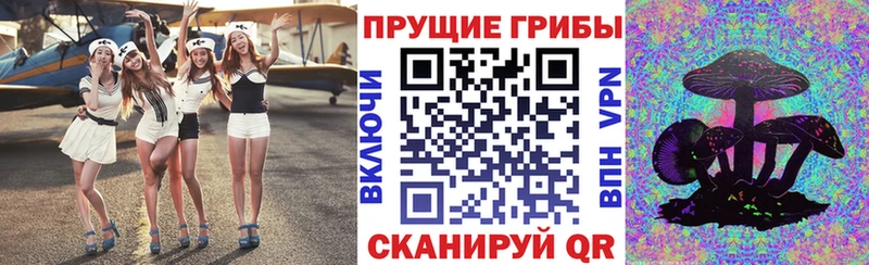 hydra ссылка  Гай  Галлюциногенные грибы прущие грибы  где найти наркотики 