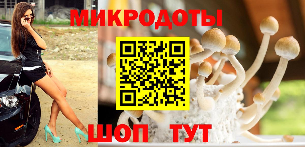 Галлюциногенные грибы мицелий  Псилоцибиновые грибы Magic Shrooms  Вход с VPN  Гай 