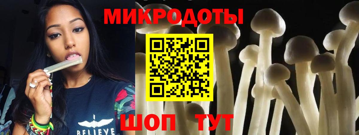 Псилоцибиновые грибы Psilocybine cubensis Гай