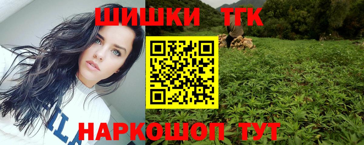 Каннабис сатива  Шишки марихуана план  Каннабис сатива  Марихуана MAZAR  Гай 